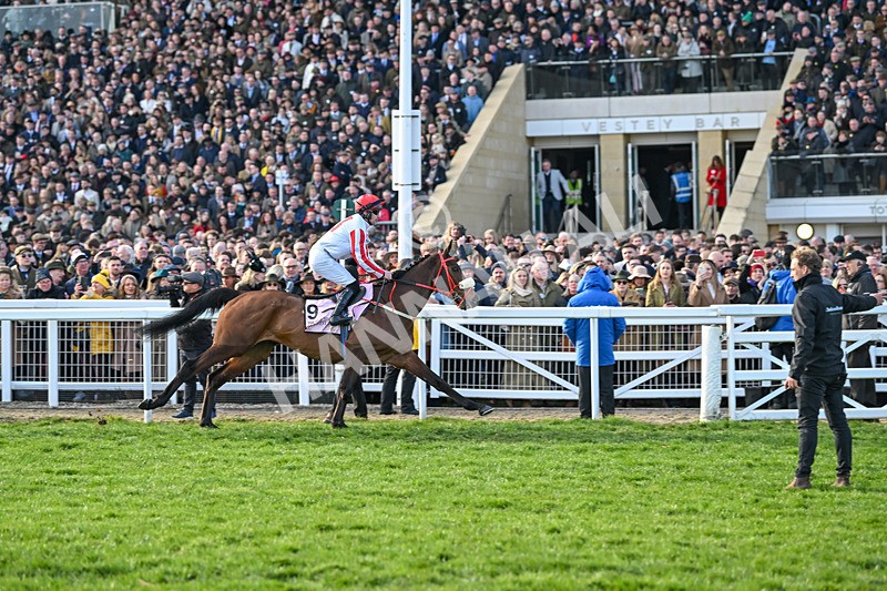 140325-The Real Whacker-WR-5438 - 14th March