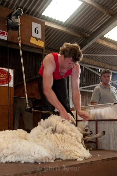 18 - Shearing Competition