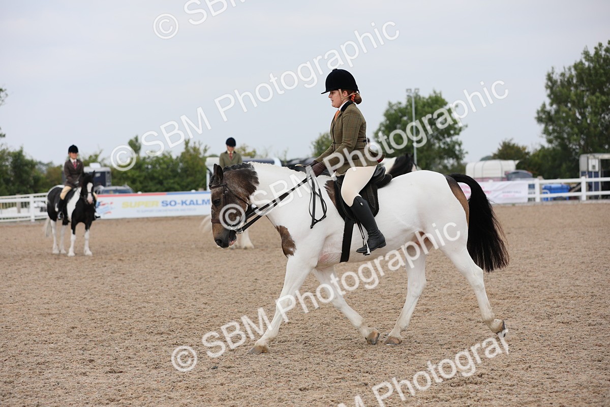 SBM_12724 - Class 307 Ridden Coloured Pony