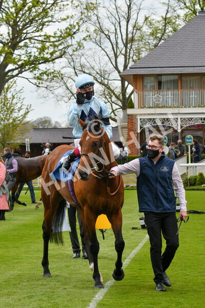yr12052021r3-30 - Race 3 2.40pm Duke of York Clipper Logistics Stakes