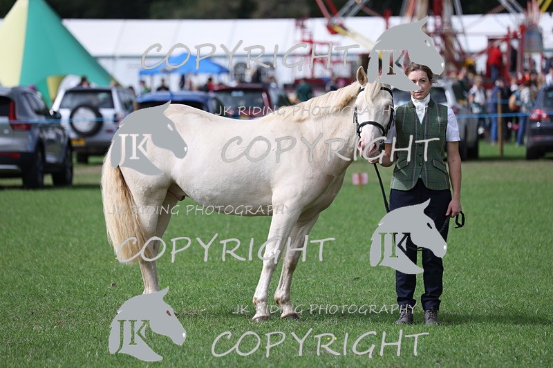 APP_2931 - Class 10a/b M&M in hand