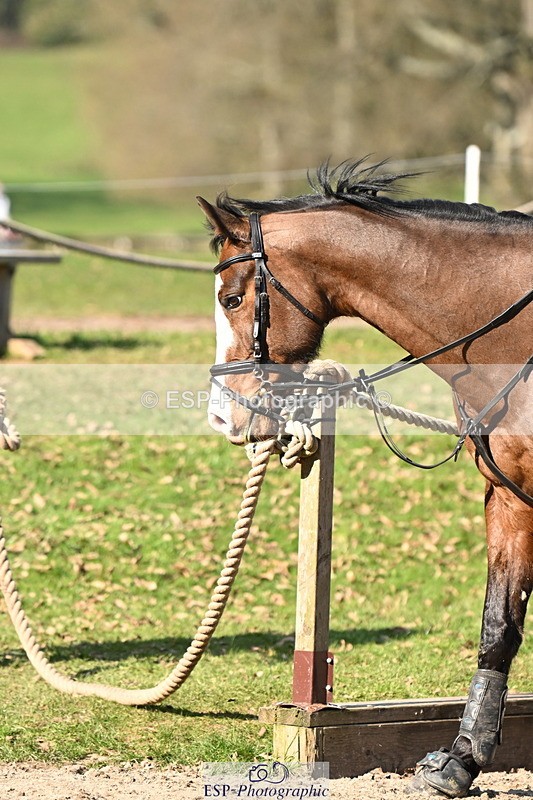 250301A-124119-00691 - Cls 02 80cm