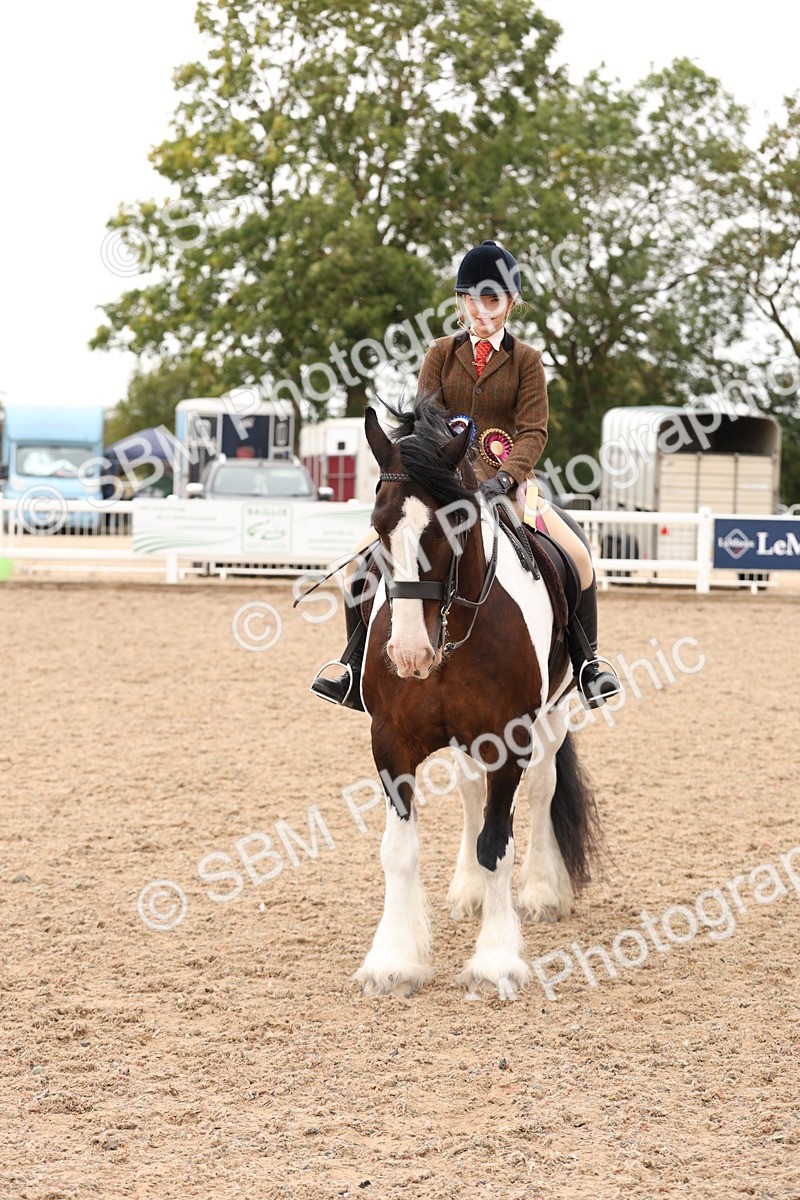SBM_19732 - Class 216 - Ridden Traditional - Native Cob