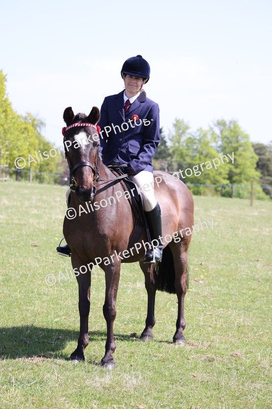20250427-3261 - Class 33 - Best Pony 14.2hh and Under
