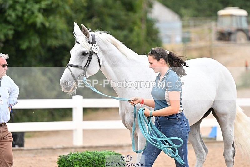 250716-155418-02261 - Trot Up 3.30 to 4.30