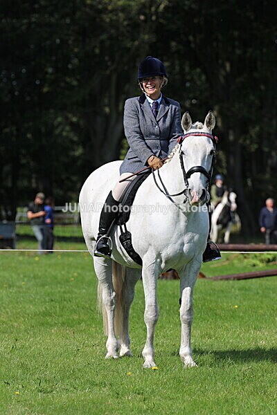 SIAL6453 - Ring 1 & 3