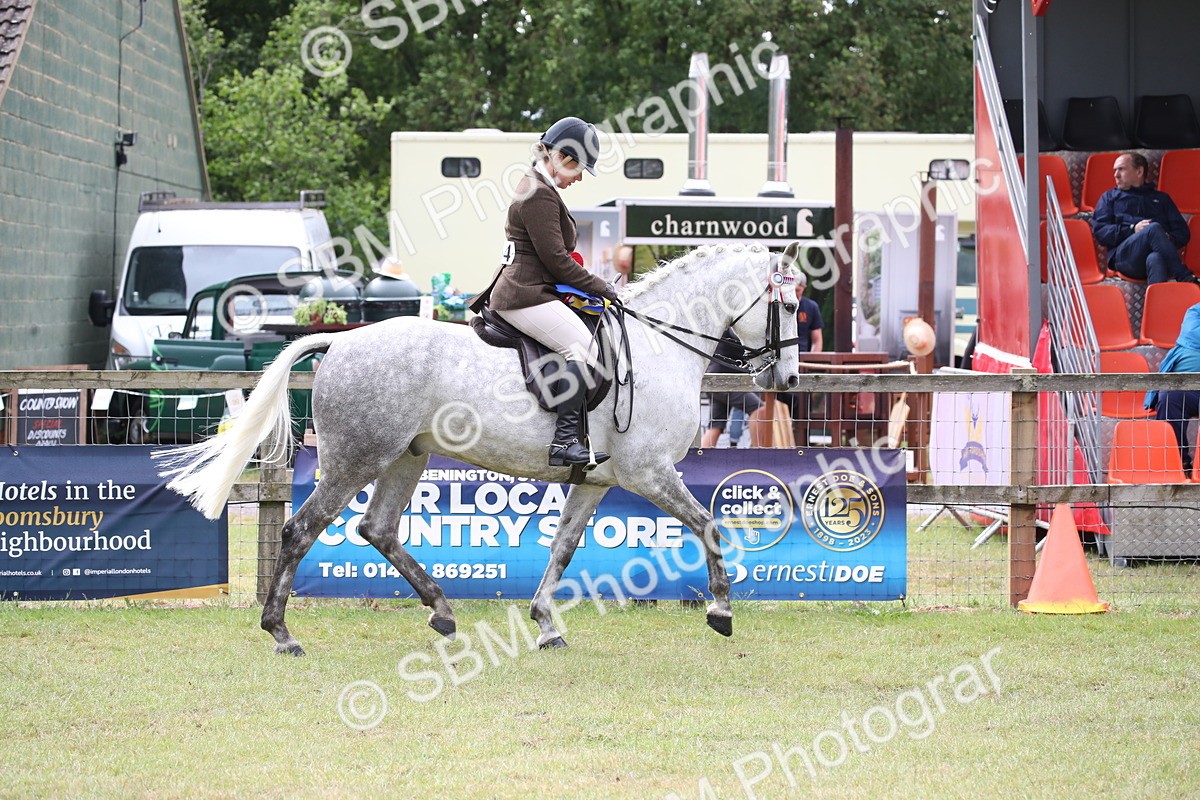 SBM_13169 - Class 95-96 - LIHS BSHA Rising Star Hack Riding Horse