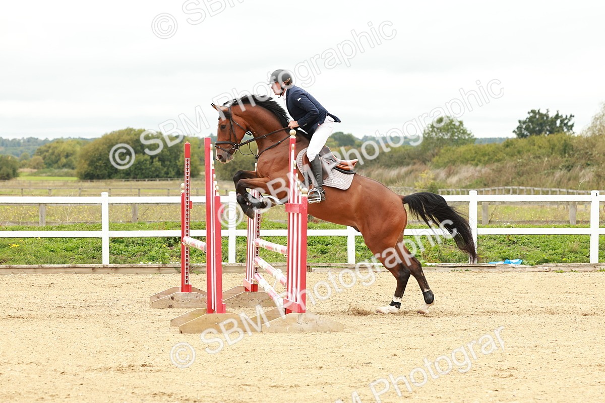 1I0A6982 - Class 2 - Senior British Novice