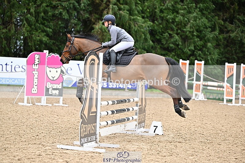 250201A-103403-00255 - Cls 01 Local Horse 90cm