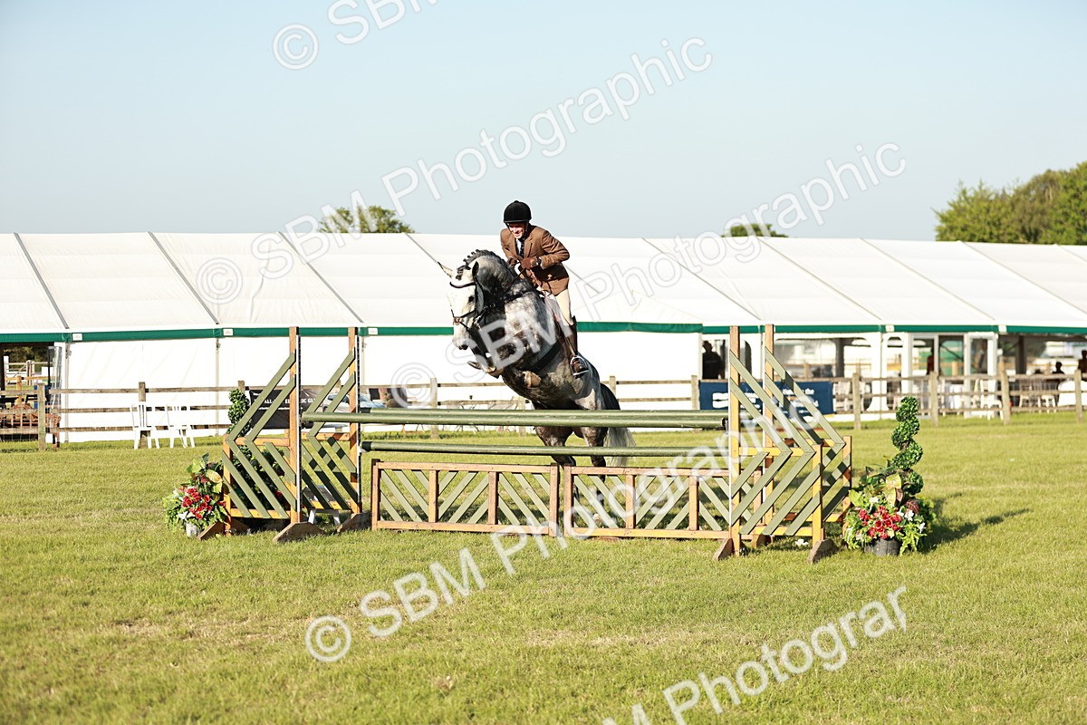 SBM_20404 - Class 117-119 - Sport Horse Working Hunter