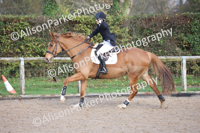 20251116-0485 - Class 3 - 80cm