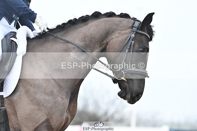 240217A-115149-02036 - 142-Helen.Lees-Legend.of.Zorro