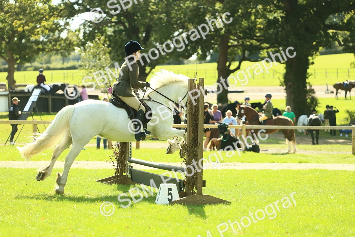 SBM_41988 - S29 - Novice & Newcomers Working Hunter Pony