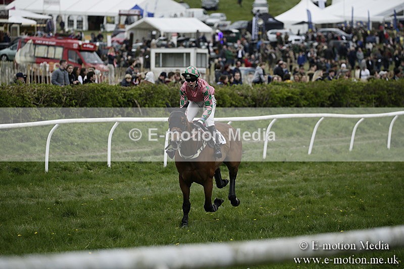 PtP 170417 559 - Old Berks Point-to-Point Lockinge 17/04/17