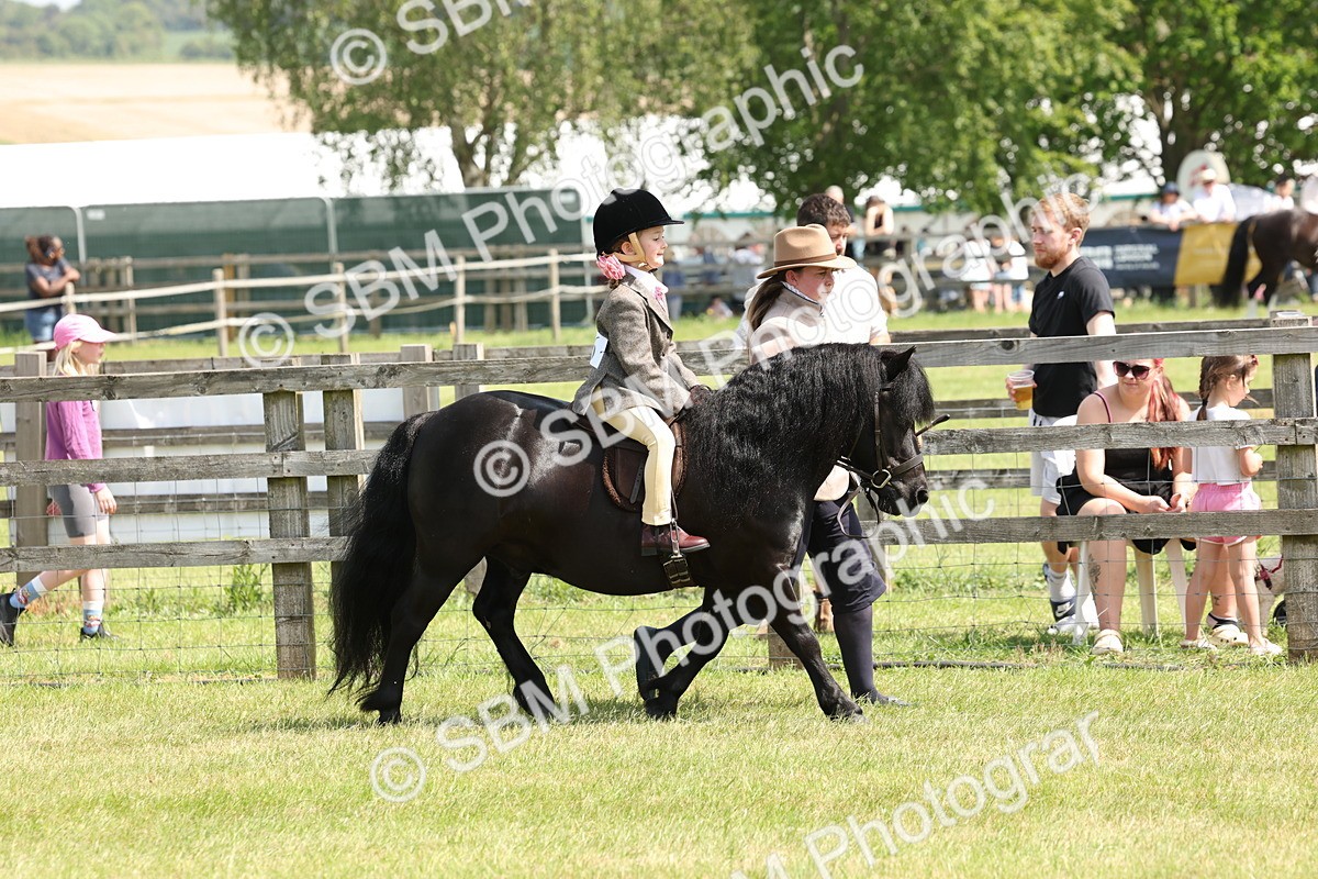 SBM_05210 - Class 24-25 - Mountain & Moorland In Hand Lead Rein and First Ridden