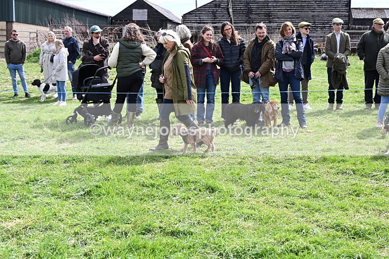 WJ6_8244 - Class 4 Prettiest Bitch