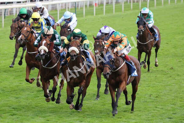yr24092021r7-55 - Race 7 4.55pm William Hill Free or Four Fillies' Stakes