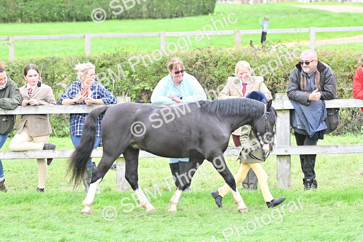 SBM_66772 - S41 - Junior Handler 8 Years & Under