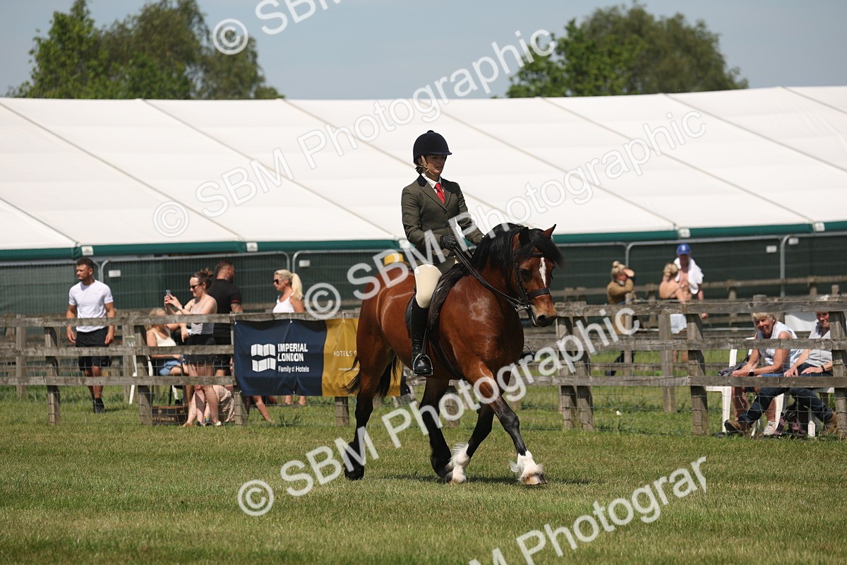 SBM_06897 - Class 26-30 - Mountain and Moorland Ridden