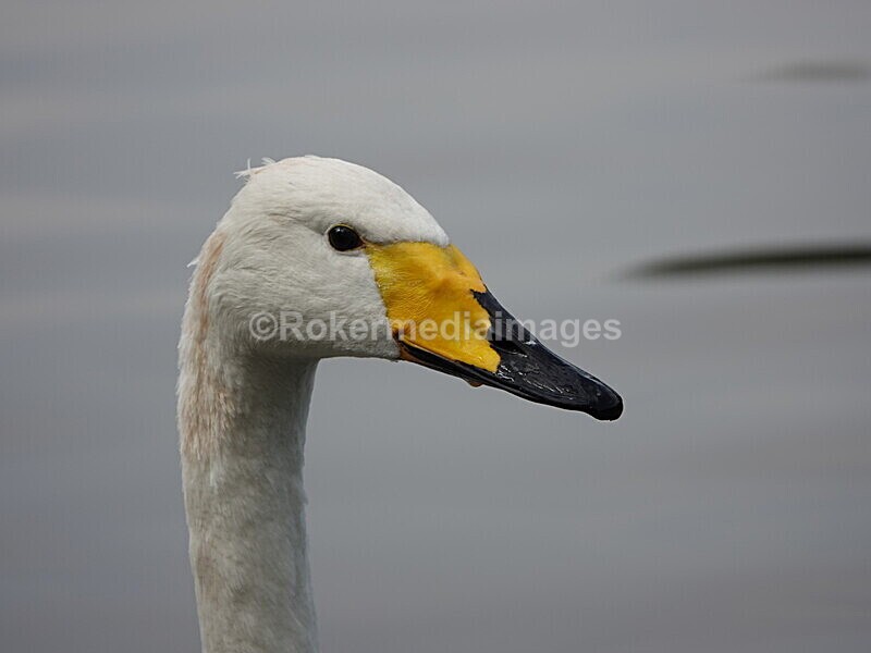CHINA__0122 - China 2019