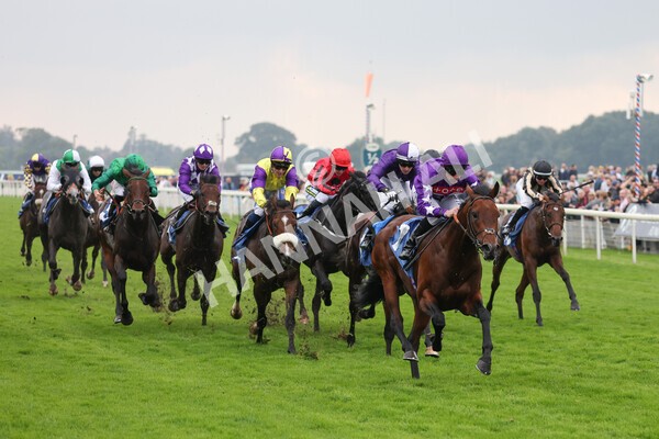 yr09102021r1-40 - Race 1 1.30pm Watch Racing Free Online At Coral Nursery Handicap
