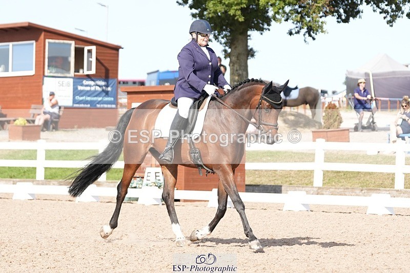 250817-164926-11965 - 211-Carey.CollettRubin's.Fanfare