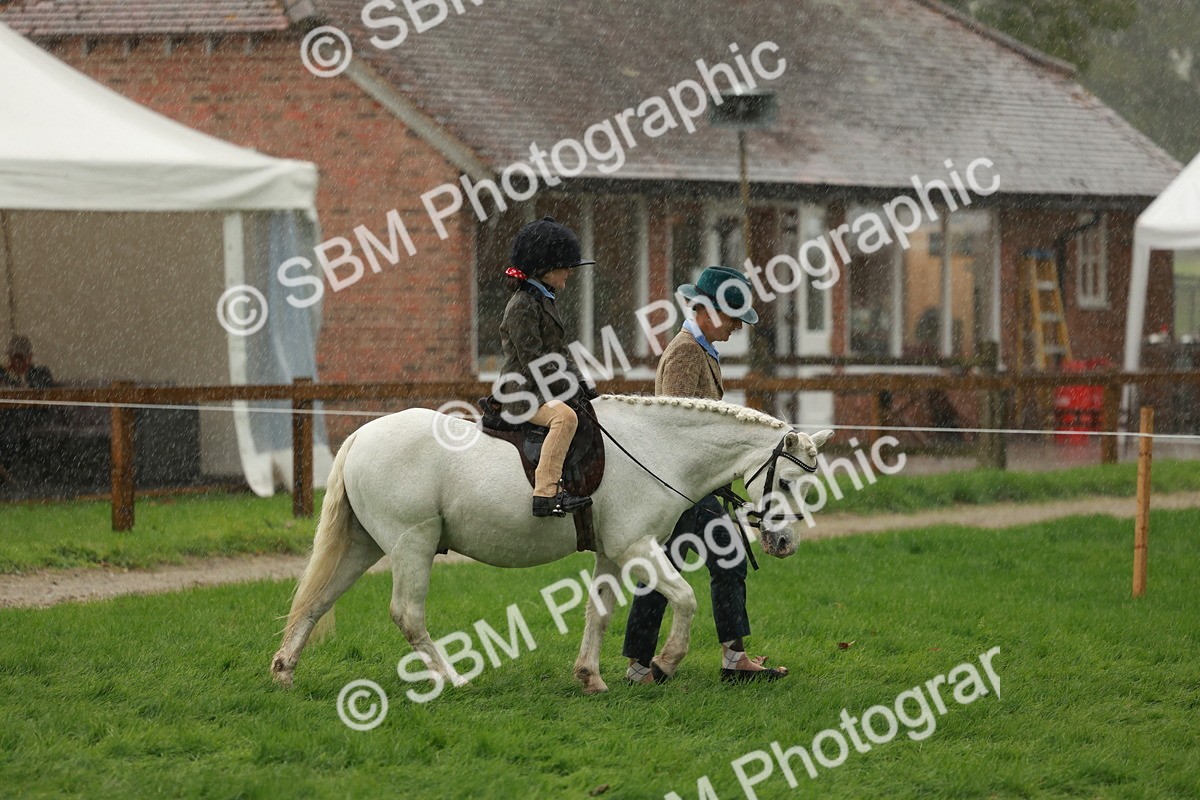 SBM_33653 - S9 - Lead Rein Equitation