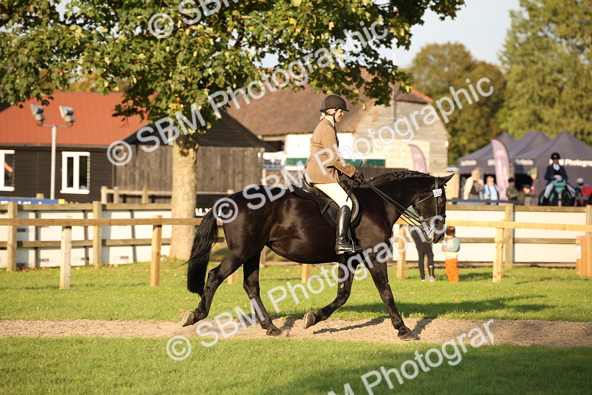 SBM_54427 - S27 - Mature Veteran - Ridden