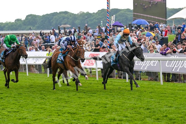 170524-Race 1-Betty Clover-7369 - Race 1 2.15pm Clipper EBF Marygate Fillies' Stakes