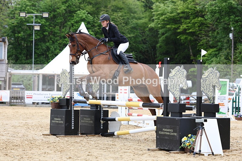 3E7A6043 - Class 4: Senior British Novice/90cm open