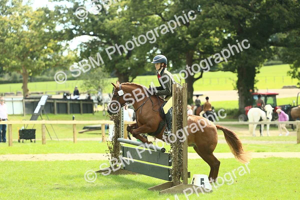 SBM_44567 - S31 - Working Hunter Pony