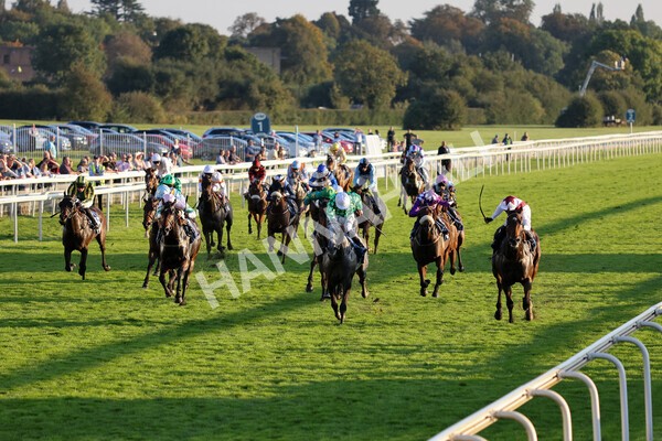 yr08102021r7-21 - Race 7 5.25pm The IRE Incentive, It Pays To Buy Irish Handicap