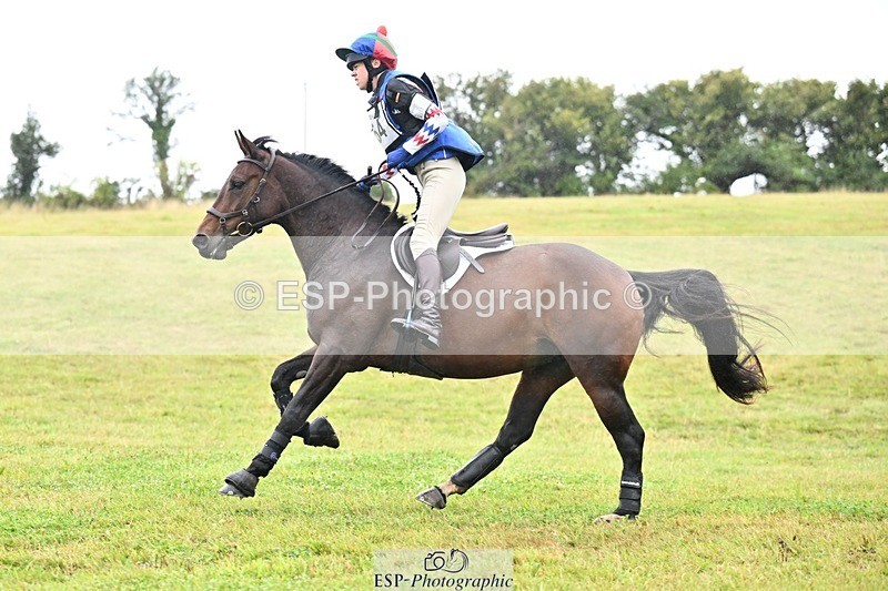 TS_b0530944 - SAT BE 90 Recovered Files fence 8