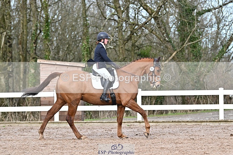 250125-131119-00582 - Dressage - CT Class 6 BE102