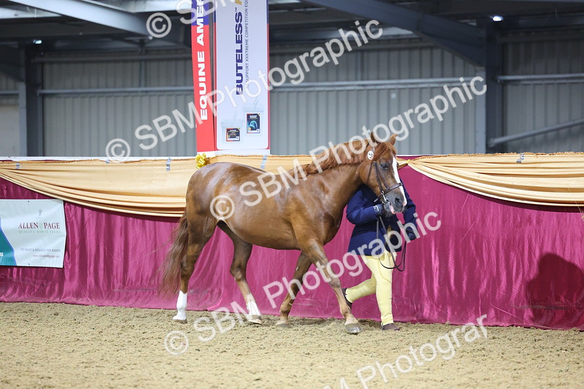 SBM_19624 - Class 901 - Supreme Final - IH Diamond