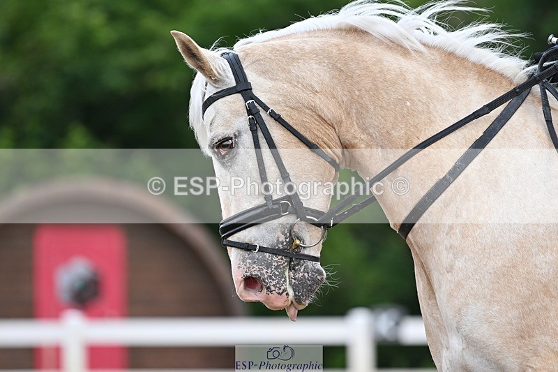 240622A-091451-06735 - Cls 23 BD Prelim 19