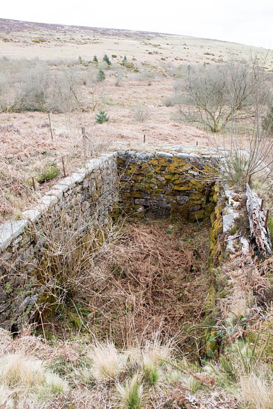 Wheelpit - Golden Dagger tin mine