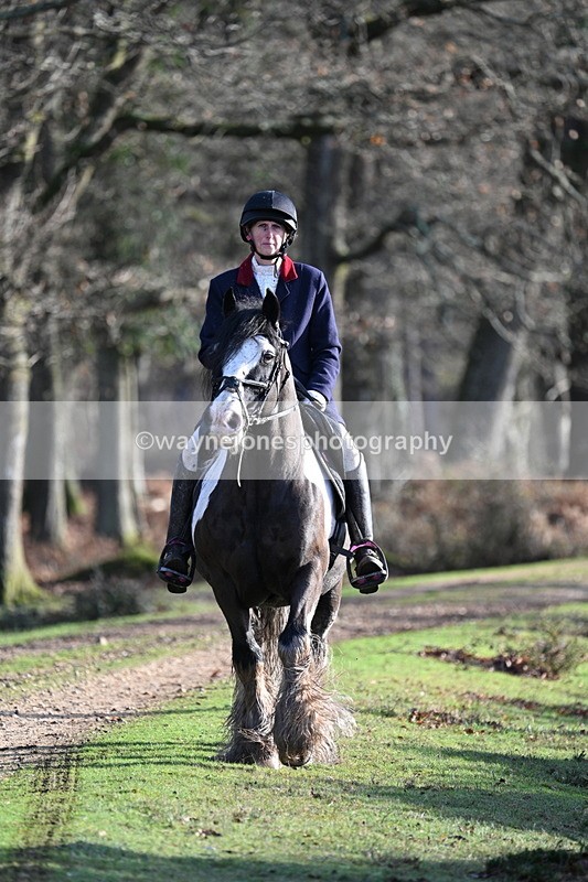 WJ7_7798 - Line 3 (no line 4 or 5)