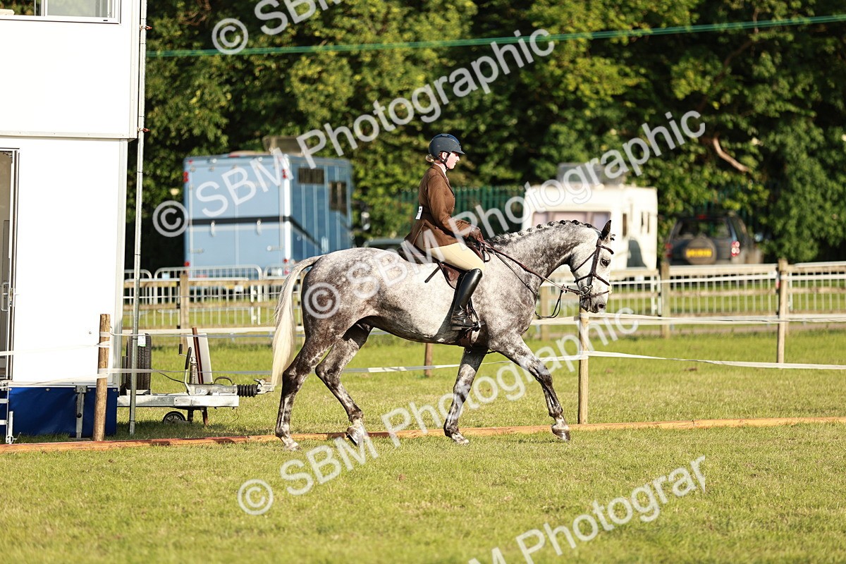 SBM_20429 - Class 117-119 - Sport Horse Working Hunter