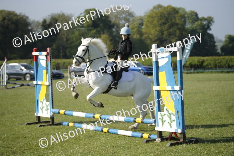 20250427-0263 - Class 12 - Rookie Jumping 40cm