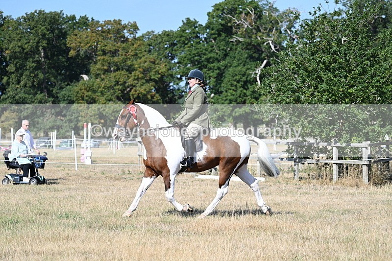 WJ7_3256 - Class 8 Ridden Tack & Turnout