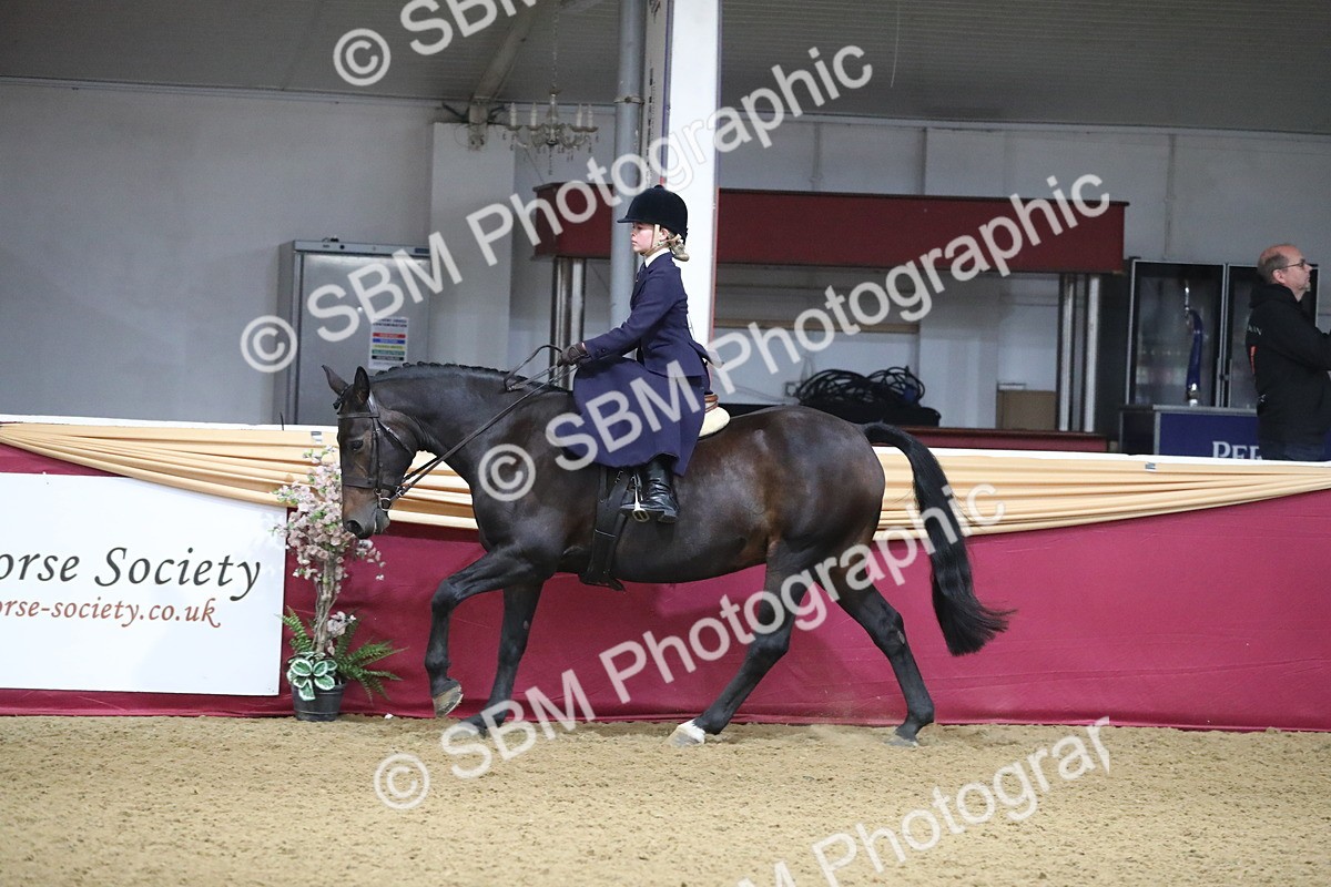 SBM_09304 - Class 101 Equitation (best rider), Junior