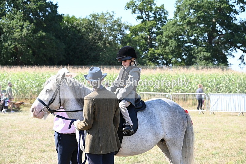 WJ6_7900 - Class 36 Lead Rein