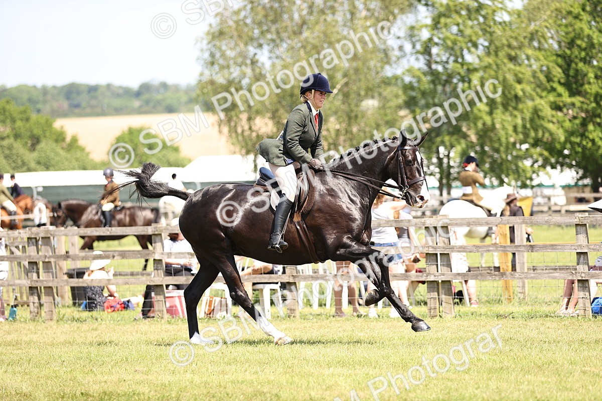 SBM_15185 - Class 79-80 - LIHS BSHA Rising Star Ridden Hunter