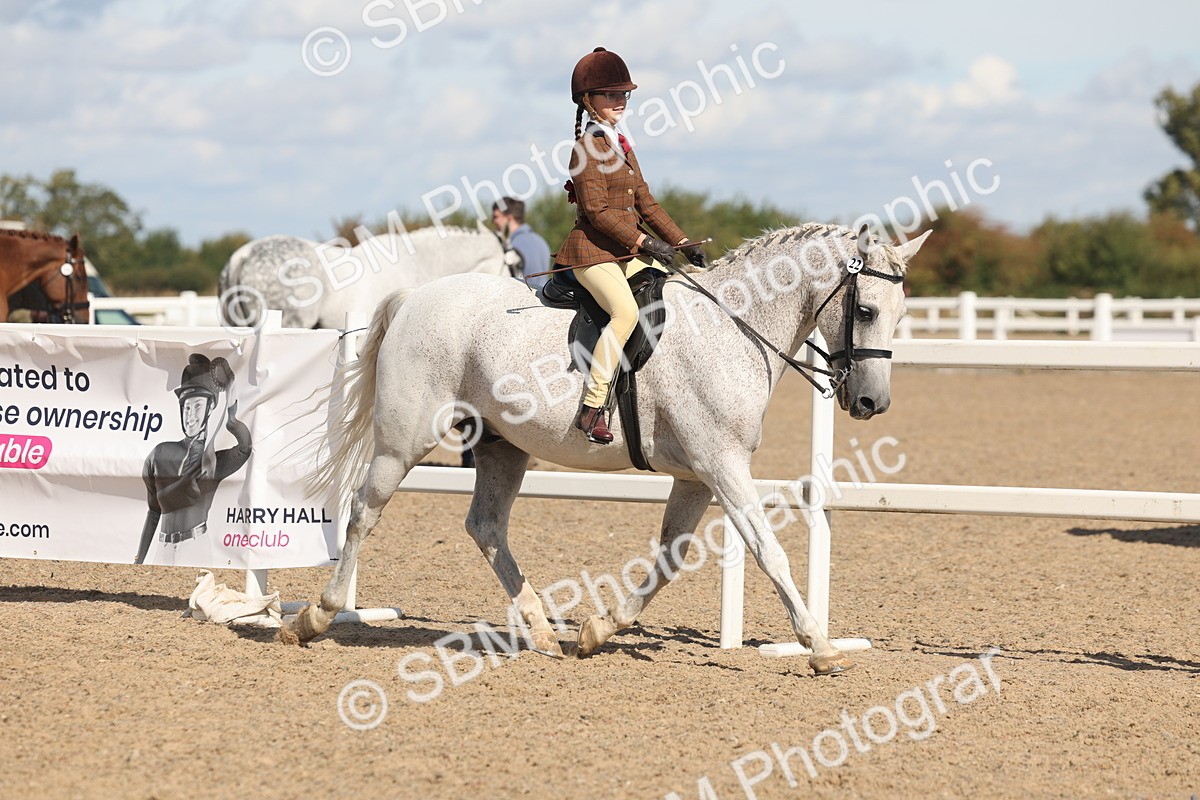 SBM_13169 - Class 306 - Ridden Foreign Breds - Part Bred