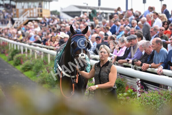 yr20082021r2-19 - Race 2 2.25pm Weatherbys Hamilton Lonsdale Cup (British Champion Series race)