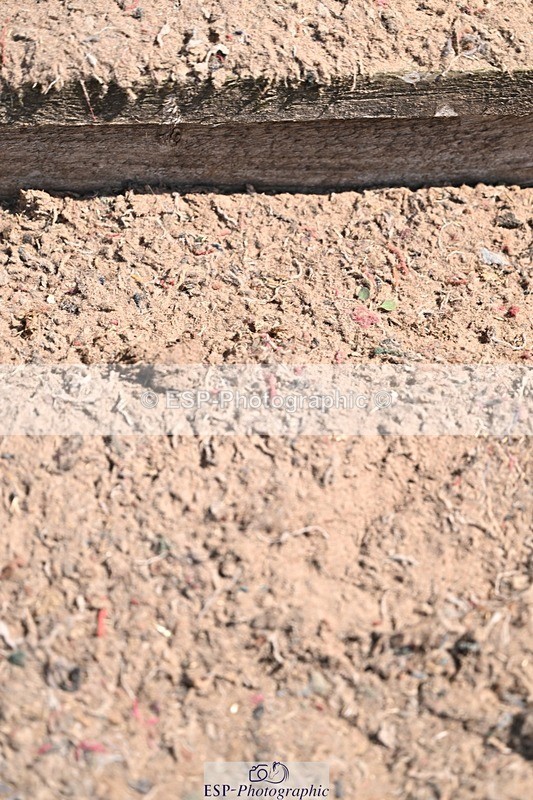 250817-140253-10209 - Sunday 2pm Presentations