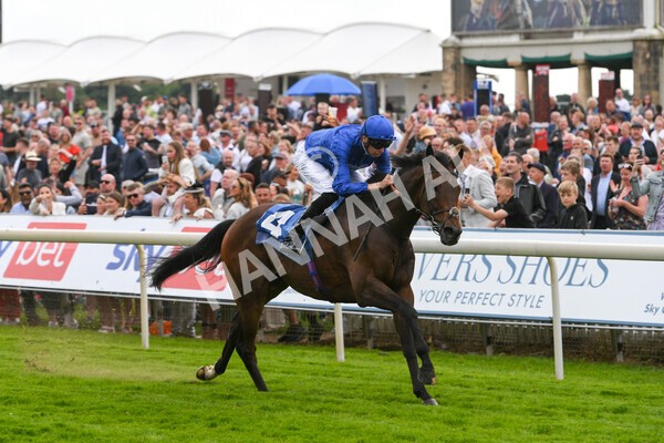 yr11062022r7-9 - Race 7 4.50pm The Ice Co Supporting Macmillan Stakes