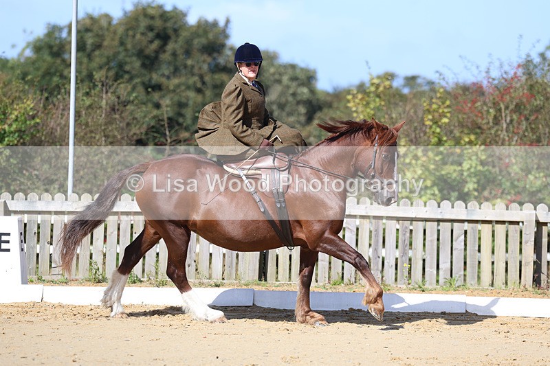 3E7A2770 - Class 4: Prelim 6 Section A Championship