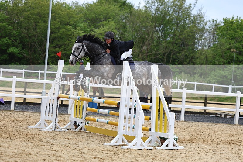 3E7A6210 - Class 4: Senior British Novice/90cm open